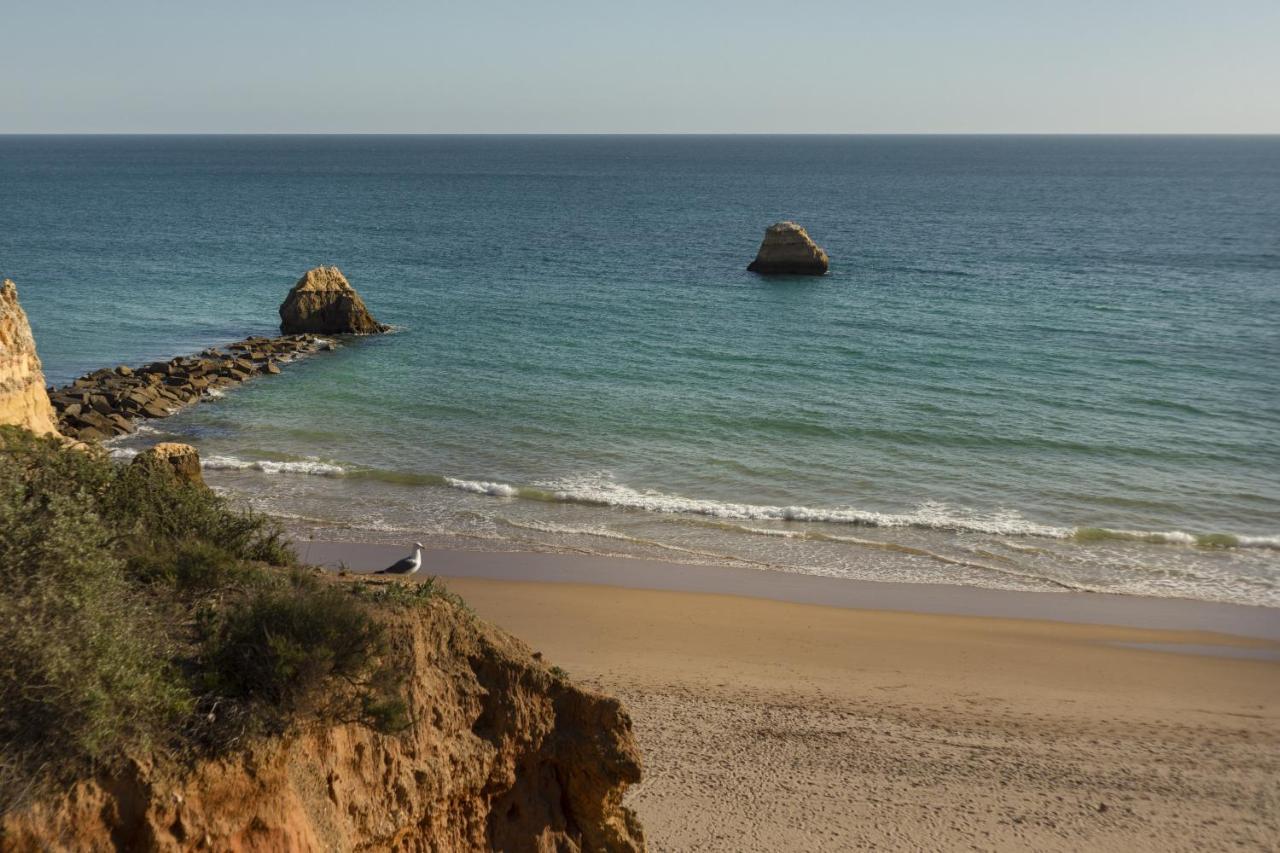 Apartment In Praia Da Rocha With A-C, Terrace In Portimao Ngoại thất bức ảnh